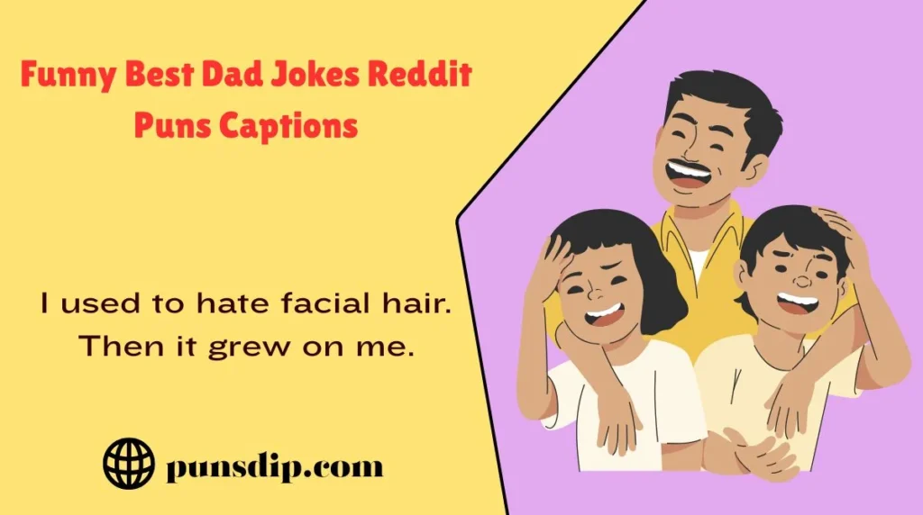 Funny Best Dad Jokes Reddit Puns Captions