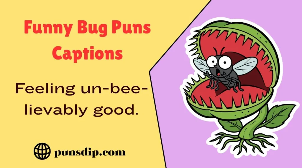 Funny Bug Puns Captions