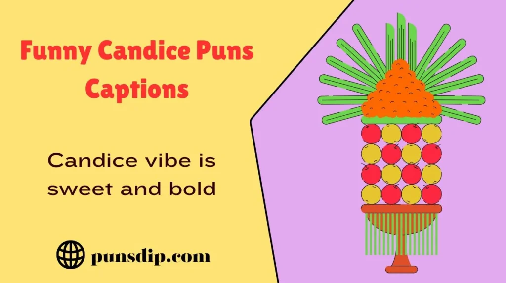 Funny Candice Puns Captions