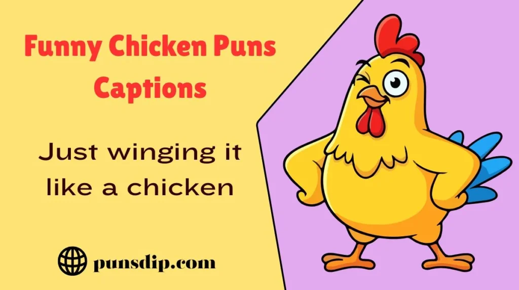 Funny Chicken Puns Captions