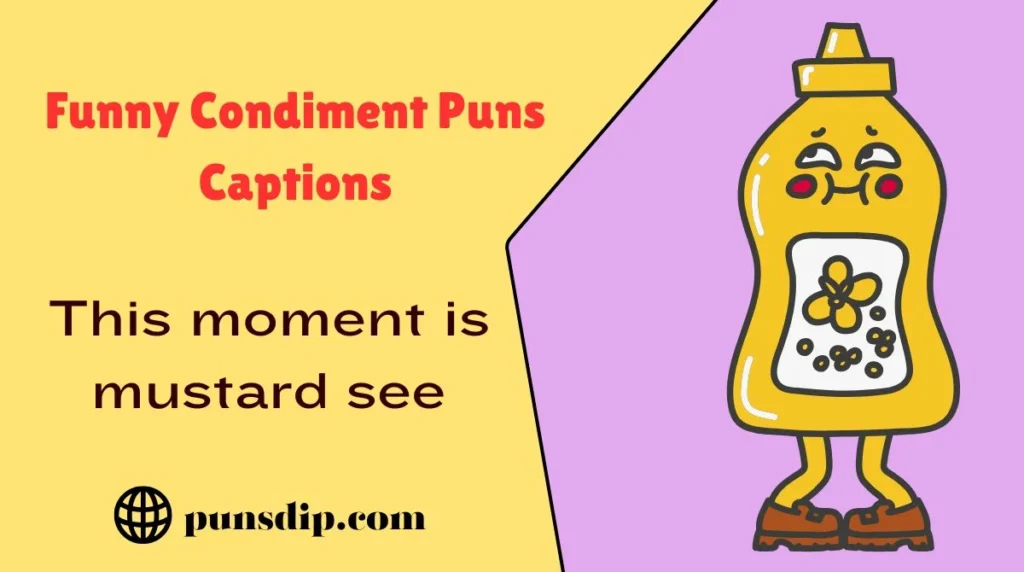 Funny Condiment Puns Captions