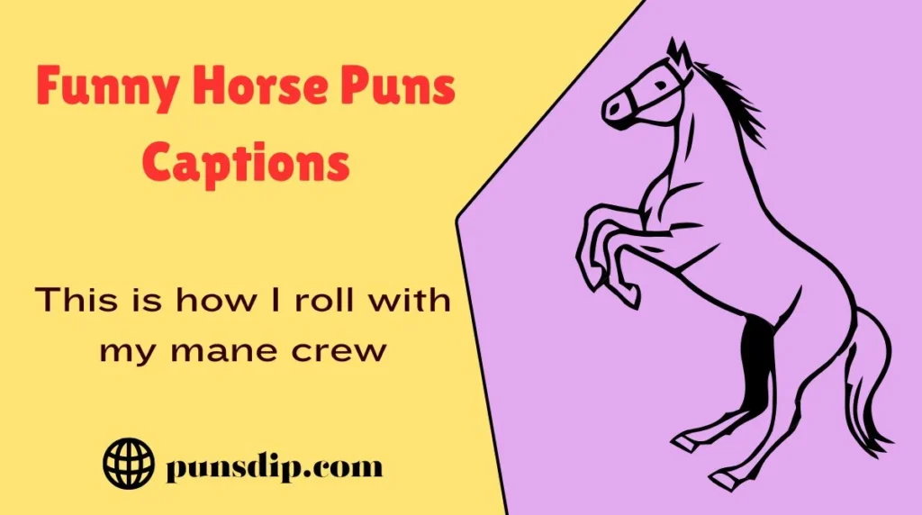 Funny Horse Puns Captions