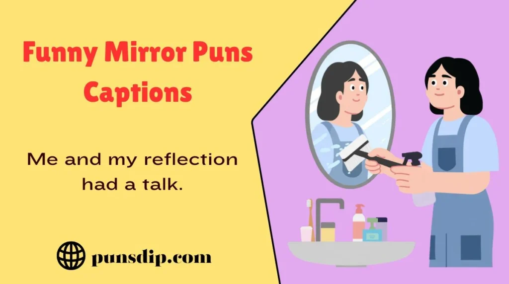 Funny Mirror Puns Captions