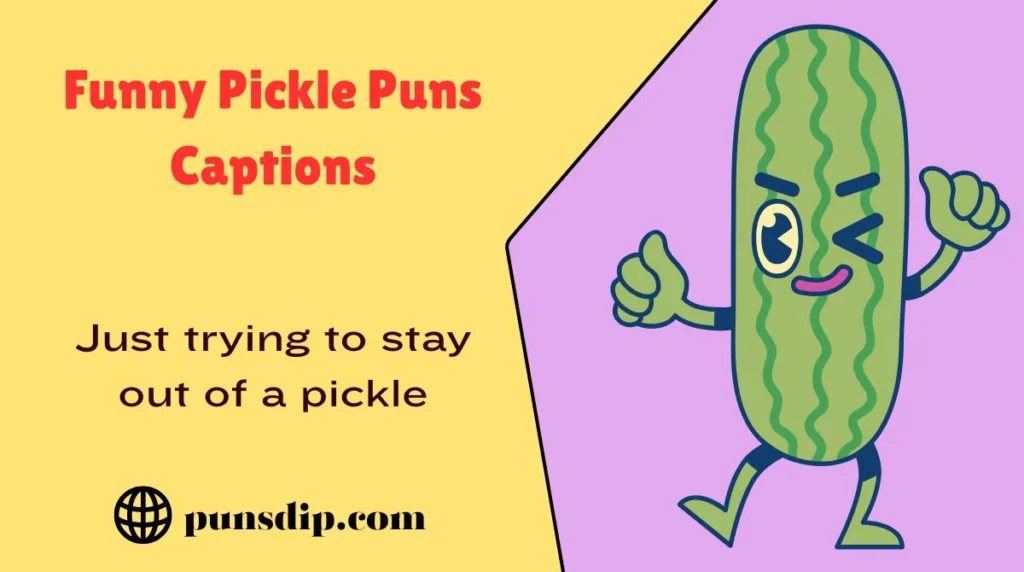 Funny Pickle Puns Captions