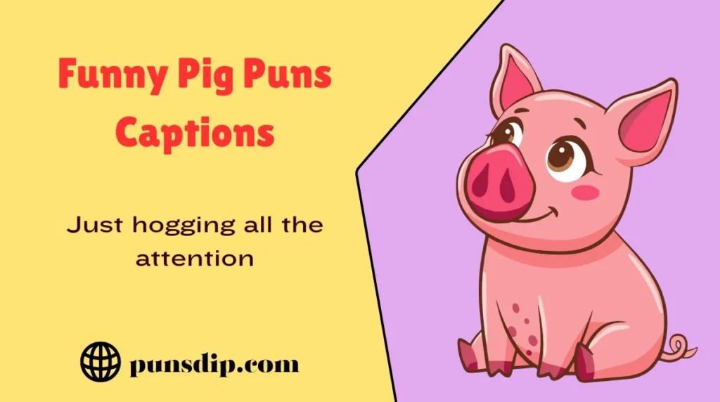 Funny Pig Puns Captions
