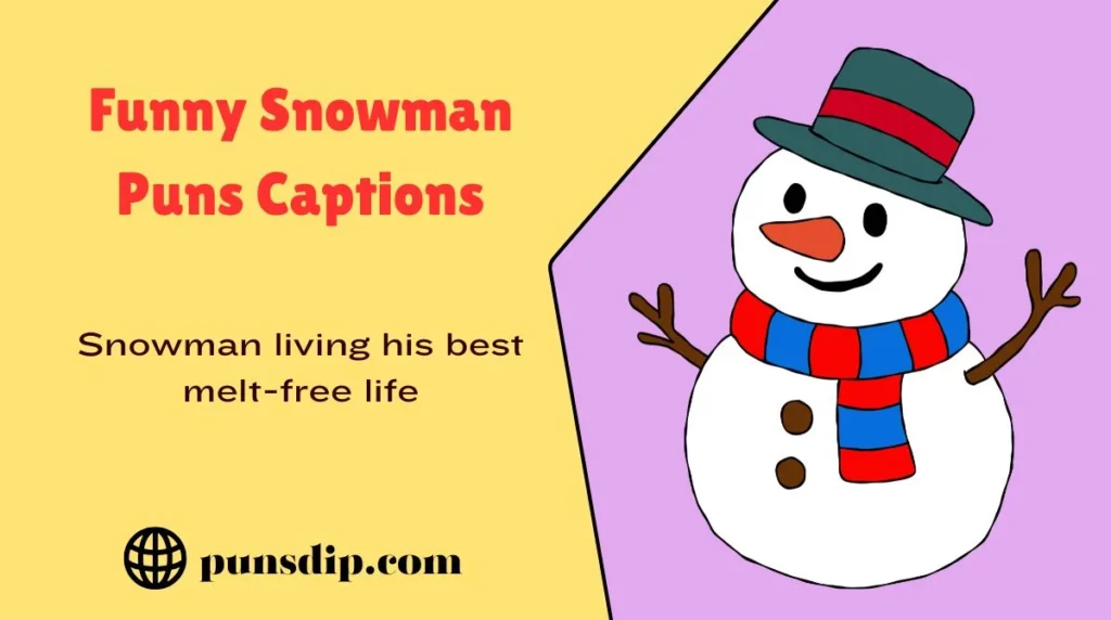 Funny Snowman Puns Captions