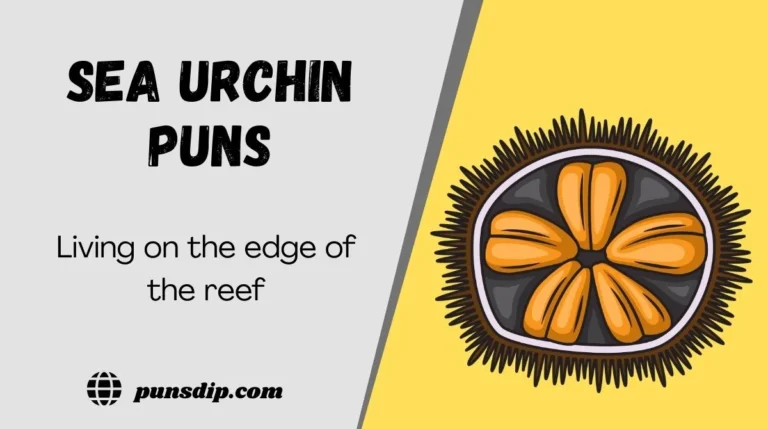 Sea Urchin Puns