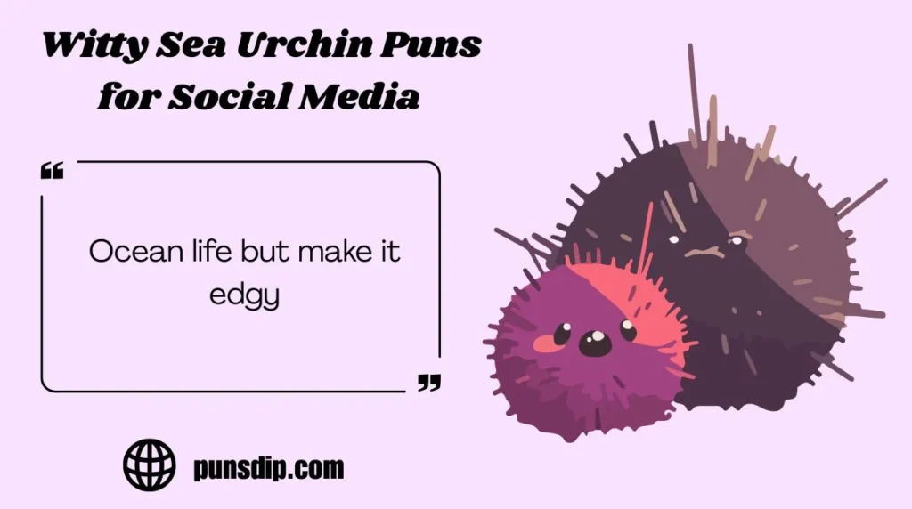 Witty Sea Urchin Puns for Social Media