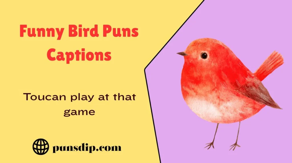 Funny Bird Puns Captions