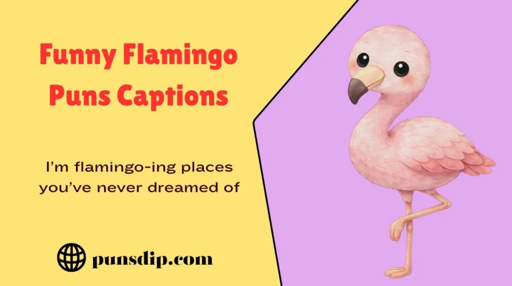 Funny Flamingo Puns Captions