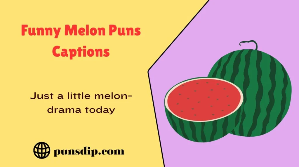 Funny Melon Puns Captions