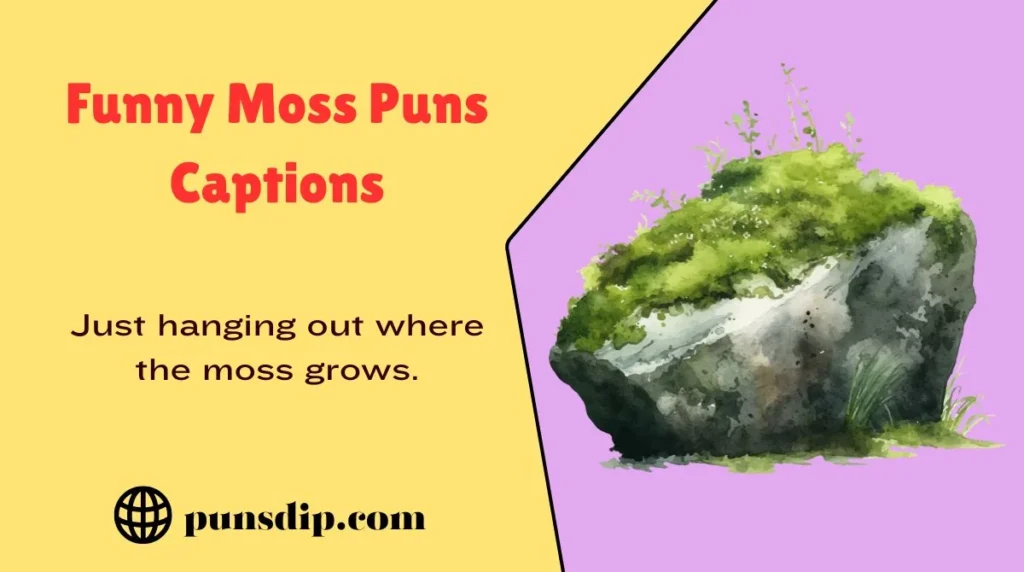 Funny Moss Puns Captions