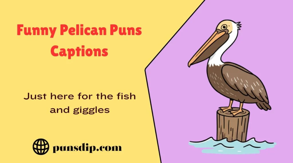 Funny Pelican Puns Captions