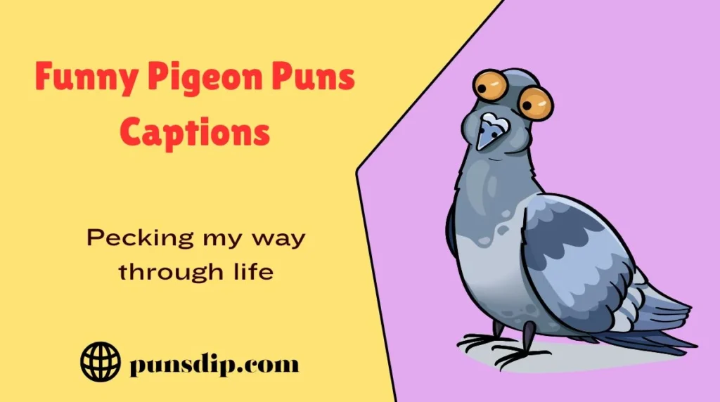 Funny Pigeon Puns Captions
