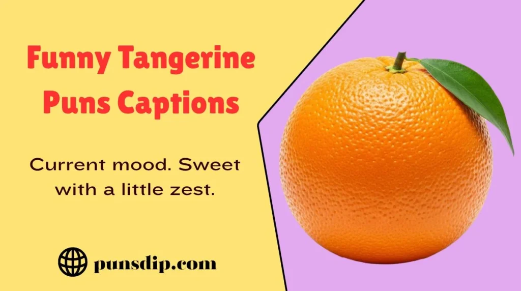 Funny Tangerine Puns Captions