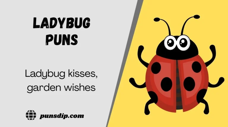 Ladybug Puns