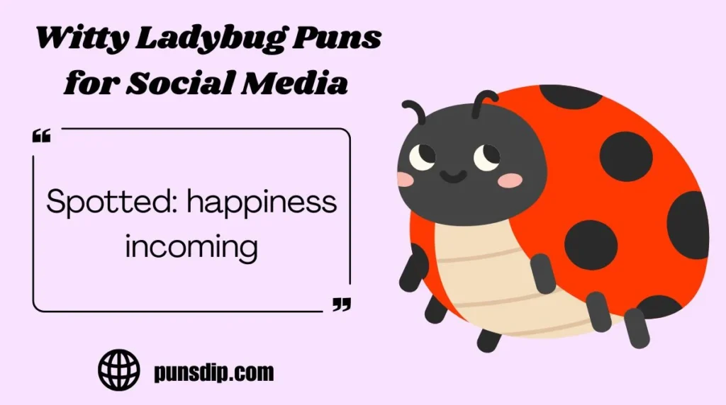 Witty Ladybug Puns for Social Media