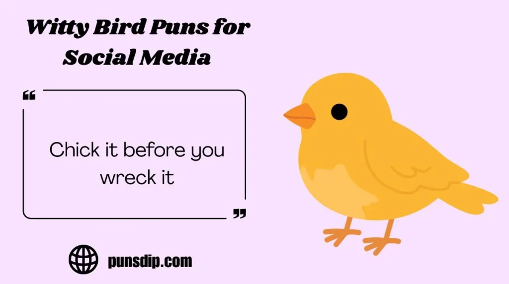 Witty Bird Puns for Social Media