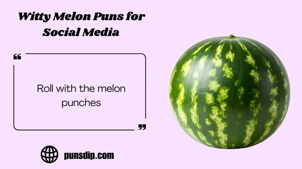 Witty Melon Puns for Social Media