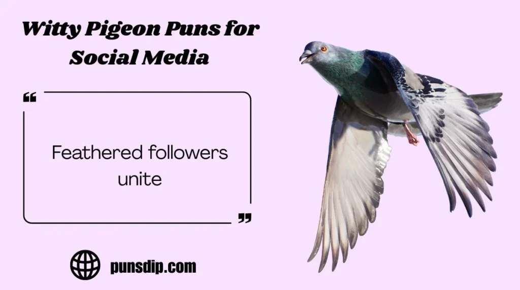 Witty Pigeon Puns for Social Media